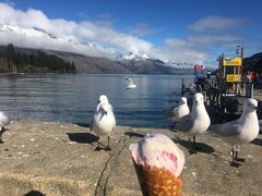 -Patagonia Chocolates(皇后镇店)