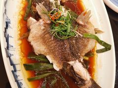 -新南华大酒店(广中店)