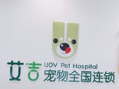 -艾吉宠物医院·疑难杂症转诊中心·猫友好(碧江路院)