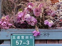 -五道营胡同