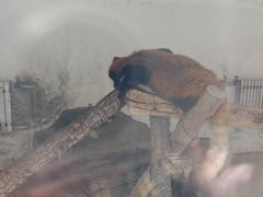 -渭南桃花源民俗文化园