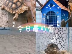 -海合安武汉极地海洋公园