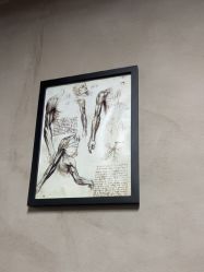 -INK STORY专业刺青·穿孔·洗纹身