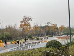 -金海湾滨江公园