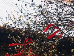-宝通禅寺