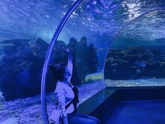 -江和美海洋公园
