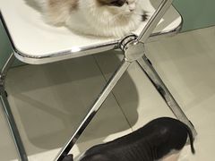 -怪兽屋·羊驼·猫咖·狗咖(俊华广场店)