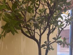-静耳元気采耳·按摩·SPA(万象前海店)