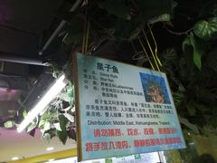 -上海大自然野生昆虫馆(东方明珠·爬宠昆虫探索中心)