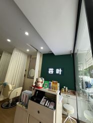 -菩叶脱发白发中心