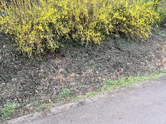 -苏州上方山国家森林公园