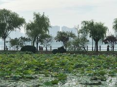 -无锡蠡湖国家湿地公园-蠡园