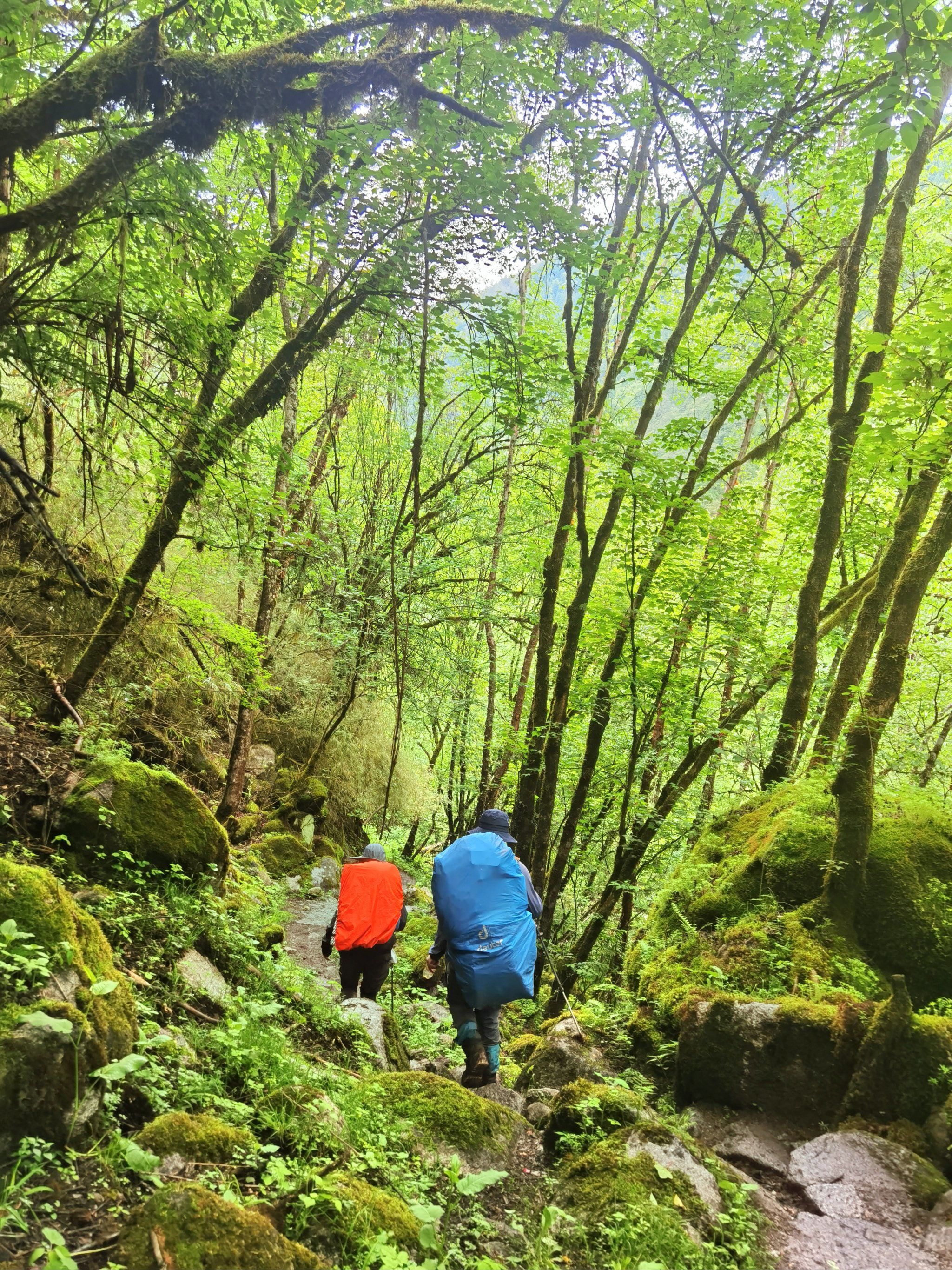 端午游:山峦间最美的风景～孟屯河谷老君沟徒步