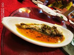 雪菜蒸黄鱼-新镇江酒家(南京西路店)
