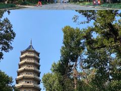-灵谷景区