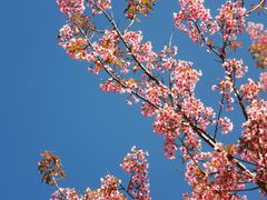 -云南野生动物园