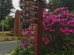 -白云山风景名胜区