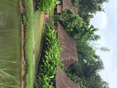 iphone_upload_pic-大象粑粑造纸公园