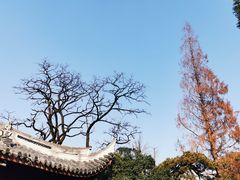 -龙华寺