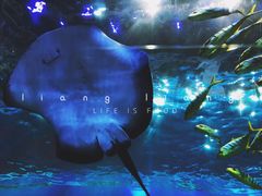 -华夏文旅西安度假区