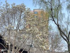-碑林公园