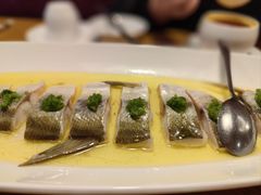 椒麻鸡汁大白鱼-品大三·经典淮扬菜(大行宫店)