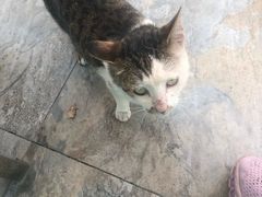 -大锅强·蒸海鲜青岛菜(吾悦广场店)