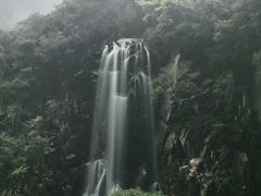 -陕西省红河谷森林公园