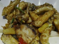焖煎鱼腩-鱼醉无骨鱼·中山脆肉鲩(荔湾路店)