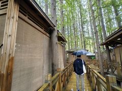 -日照海滨国家森林公园