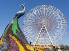 -七彩云南欢乐世界