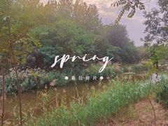 -塘沽森林公园