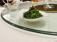 XO酱拌黄瓜苗-金时代顺风大酒店(爱琴海购物中心店)