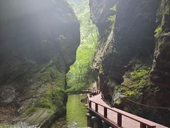 -牛背梁国家森林公园