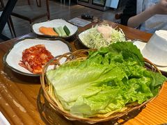 -红辣椒八爪鱼特色韩国料理