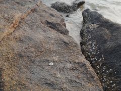-碧桂园十里银滩
