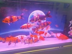 -三旗百汇商品城