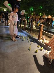 -酷嗒动物文化乐园(cutezoo西溪乐天城店)