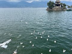 -大理洱海