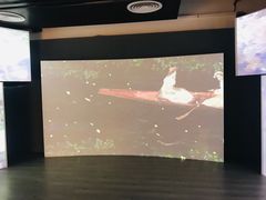 -印象莫奈时光映迹艺术展