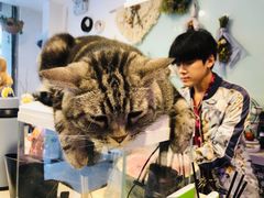 -平行世界·猫咖(首经贸店)