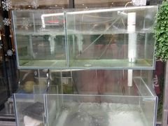 -东山羊庄(八卦岭店)