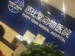 -芭比堂宠物医院·全科爱猫医院·仁德分院