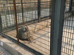 -宿豫区运河湾森林动物园