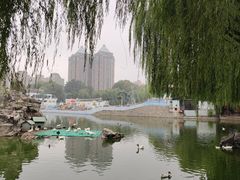 -团结湖公园
