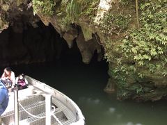 -怀托摩萤火虫洞