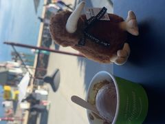 -Patagonia Chocolates(皇后镇店)