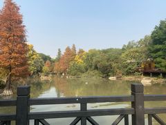 -海珠湖公园