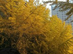 -辽宁大学(崇山校区)
