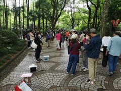 -人民公园-相亲角